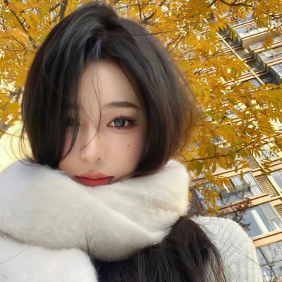 网劫 在线观看