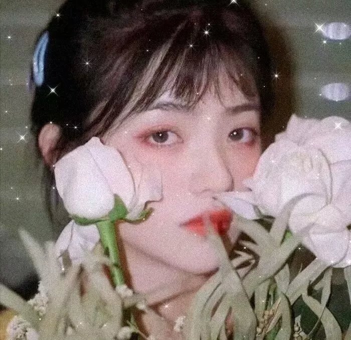 寒鸦情深